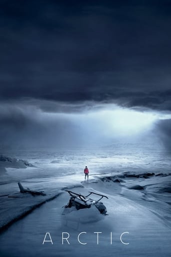 Leffajuliste elokuvalle Arctic